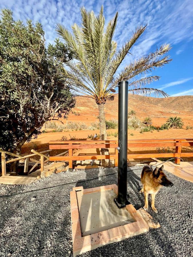 شقة La Casita Del Mojino Betancuría المظهر الخارجي الصورة